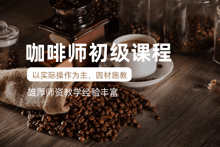 广州咖啡师初级培训课程