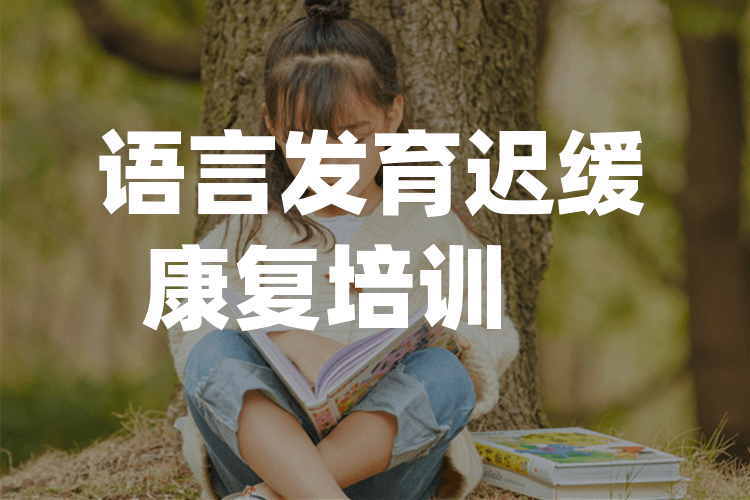 柳州语言发育迟缓量表