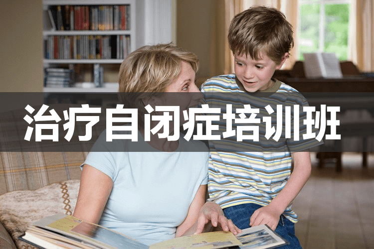 石家庄自闭症语言沟通培训