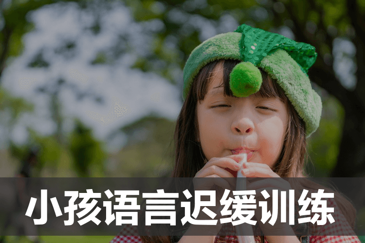 杭州儿童的语言迟缓培训班